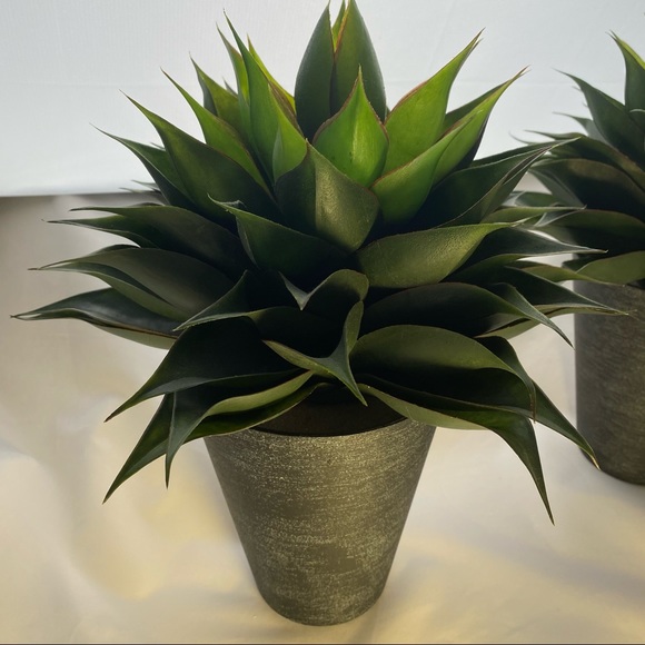 Artificial 14 inch Agave Succulent Plant (Set of 2) - Picture 2 of 4